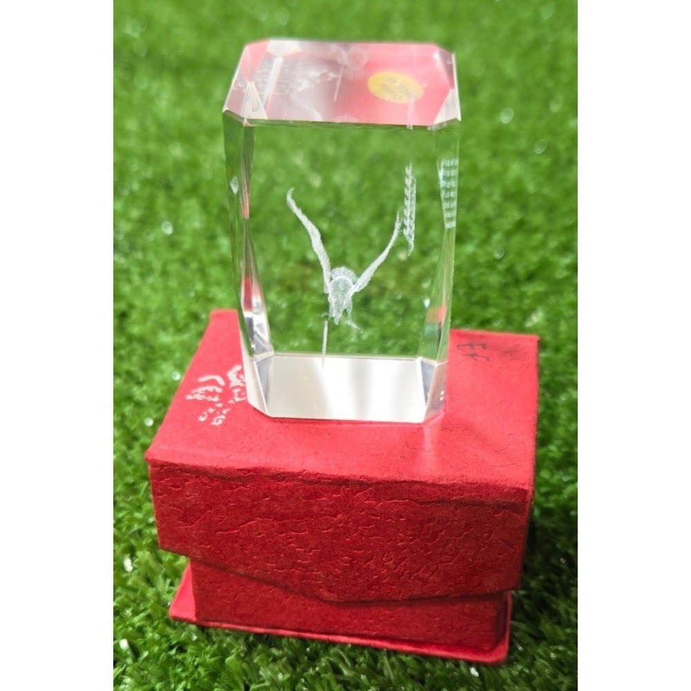 3D Laser American Eagle Etched Crystal  Glass Paperweight "God Bless America"